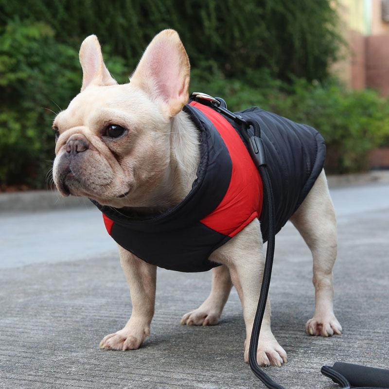 Winter Thickened Dog Clothing