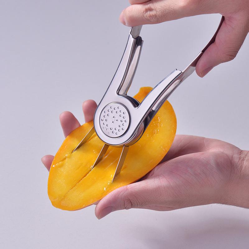 Stainless Steel Mango Peeling Separator