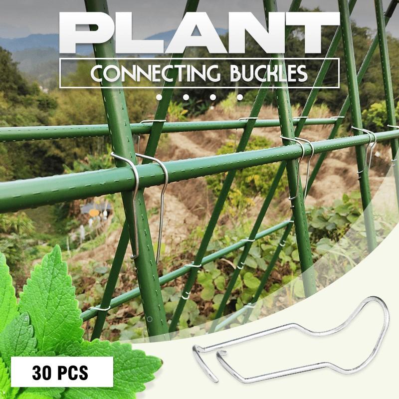 Plant Connecting Buckles
