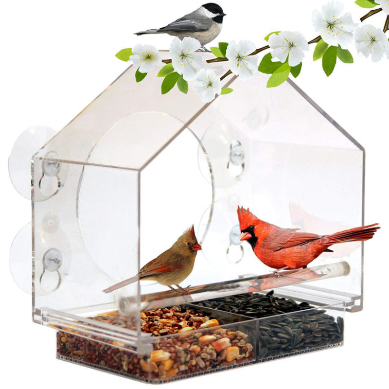 Window Bird House Feeder