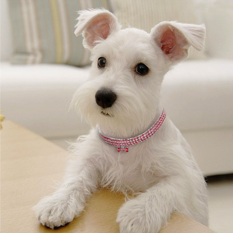 Cute Crystal Dog Necklace
