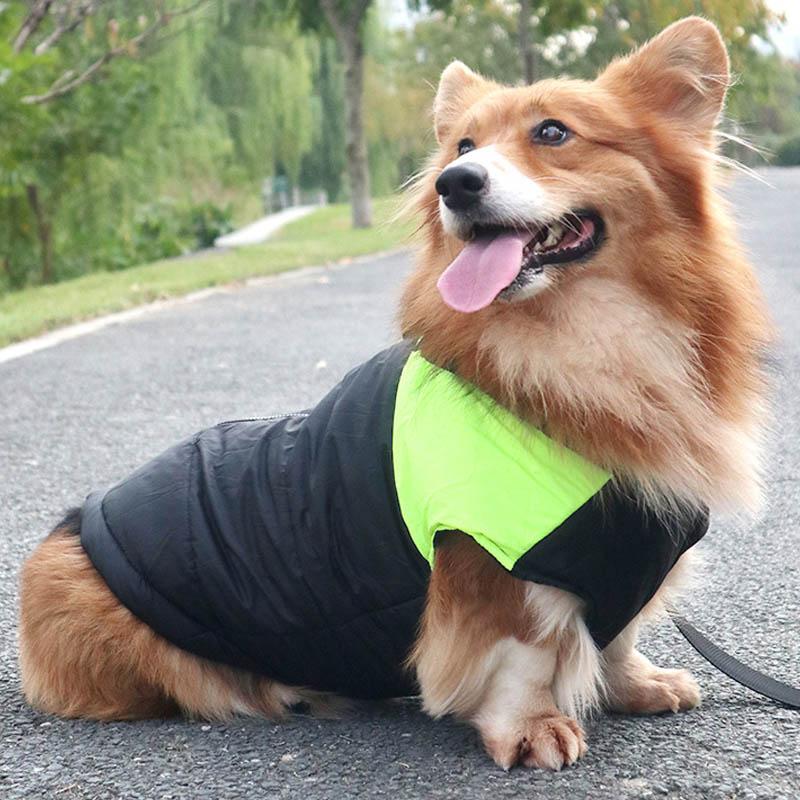 Winter Thickened Dog Clothing